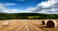Harvest, Worcestershire