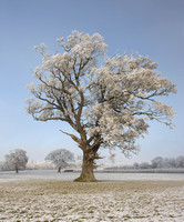 Winter, Herefordshire